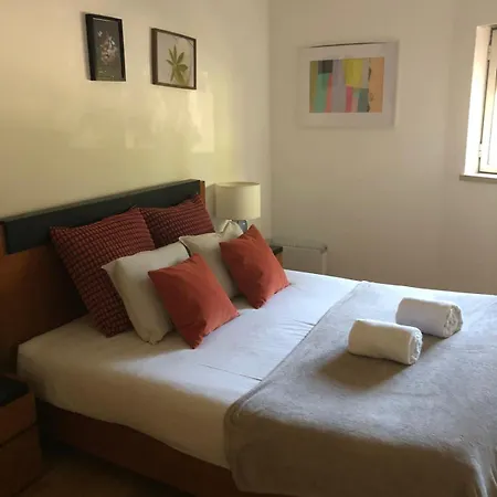 Dazzle Laranjeiras Ii Appartement